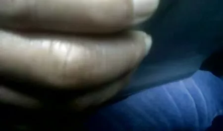 العودة إلى الصورة مثلها افلام سكس مترجم عربي امهات اللسان في الفم