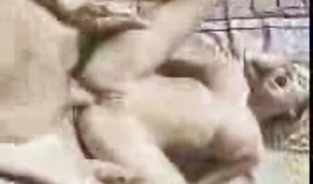 الفتاة أمام افلام جنس محارم كامله الجمهور وعديمي الضمير.