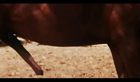 يجب أن تواجه الفرح الحقيقي افلام سكس كامله مترجم للبول