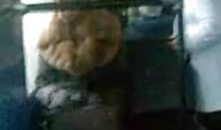الزوجين الذين وقعوا في افلام سكس اجنبى مترجم الحب لتجنب هجمات قطاع الطرق ، ومن ثم ممارسة الجنس